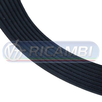 1 - CINGHIA 8PK1095