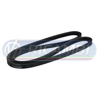 1 - CINGHIA TRAPEZOIDALE 13 X LA 1050