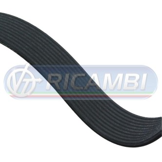 1 - CINGHIA 10PK1445