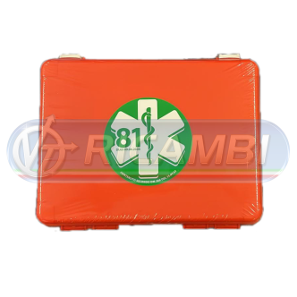1 - CASSETTA PRONTO SOCCORSO DM388 d.lgs 81/08