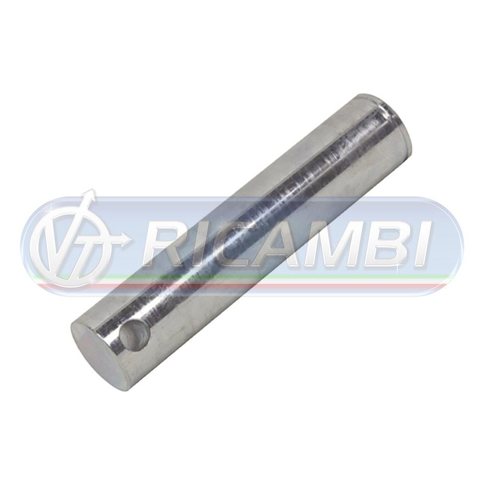 1 - PERNO SPONDA DIAM.30X138 ANTEO