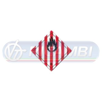 1 - ADESIVO ADR 300X300 CL4.1 SOLIDI INFIAMMABILI