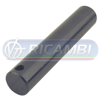 1 - PERNO SPONDA DIAM.30X160 DHOLLANDIA