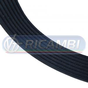 CINGHIA 8PK830