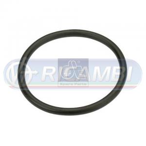 GUARNIZIONE TUBAZIONE ACQUA FL6 095