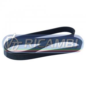 CINGHIA 8PK1537