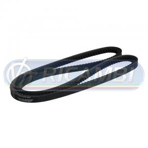CINGHIA TRAPEZOIDALE 10 X LA 1200