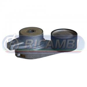 TENDICINGHIA FH 12 FM 10-12 889