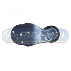 TENDICINGHIA FH 13 FM 13 717