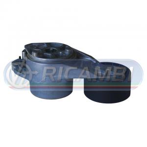 TENDICINGHIA FH 13 FM 13 276