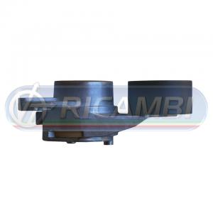 TENDICINGHIA FH 13 FM 13 276