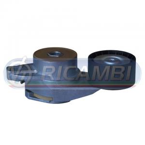 TENDICINGHIA FH 13 FM 13 276 DAYCO